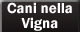 Cani nella Vigna
