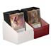 UGD011465 Ultimate Guard Boulder 100+ Magic: The Gathering "Guild Summit" - Boros