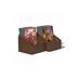 UGD-011141-010-00 Ultimate Guard Return To Earth Boulder Deck Case 100+ Standard Size Brown