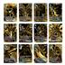 Digimon Card Game Tamer's Evolution Box -Rise of Digimon- [PB21]