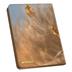 UGD011590 Ultimate Guard Zipfolio 360 Xenoskin MTG "Tarkir: Dragonstorm" - Descendant of Storms