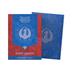 AT-16516 Dragon Shield  Magic Sleeves - 
Izzet League (100 Matte Dual sleeves)