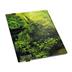 UGD010916 Ultimate Guard 9-Pocket FlexXfolio Lands Edition II Forest