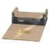 SQR100215 Squaroes Collectors Case 800 ONE PIECE - Wooden Chest