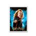 16020 Dragon Shield Matte Art Sleeves - Wizarding World - Hermione Granger Harry Potter