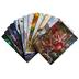 AT-02101 Dragon Shield Card Dividers Series #1 (6 Divider a Pacchetto)