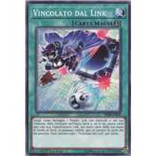 Vincolato dal Link