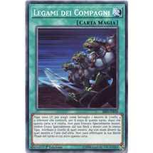 Legami dei Compagni