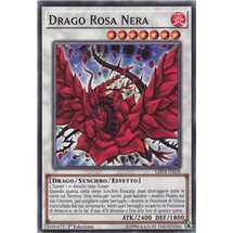 Drago Rosa Nera