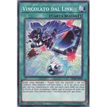 Vincolato dal Link