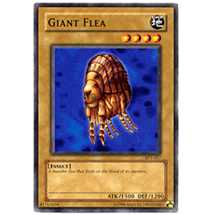 Giant Flea