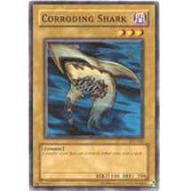 Corroding Shark