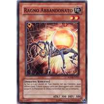 Ragno Abbandonato