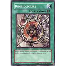 Rimpicciolire