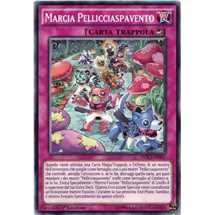 Marcia Pellicciaspavento