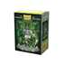 -12028 Dragon Shield Classic Art Sleeves - King Mothar Vangard: Coat-of-Arms (100 Sleeves)