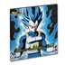 Dragon Ball Super Card Game Collector's Selection Vol.2