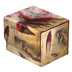 UGD011471 Ultimate Guard Sidewinder 100+ Xenoskin MTG Bloomburrow Dragonhawk Fate's Tempest