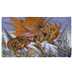 AT-20519 Dragon Shield Playmat The Millerax