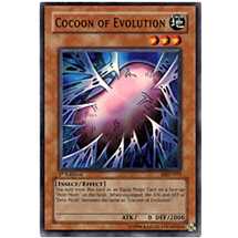 Cocoon of Evolution