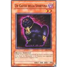 Un Gatto Della Sfortuna