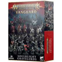 70-16 Vanguard: Soulblight Gravelords
