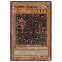 Vampire Orchis