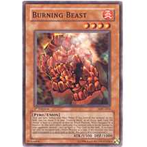 Burning Beast